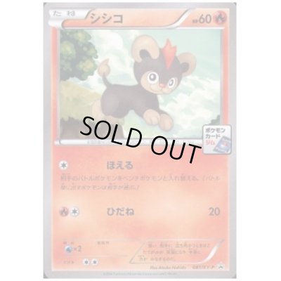 画像1: シシコ(081/XY-P)