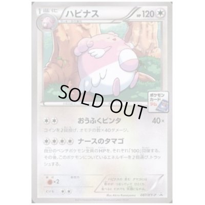 画像1: ハピナス(087/XY-P)