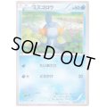 ミズゴロウ(109/XY-P)