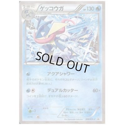 画像1: ゲッコウガ(209/XY-P)