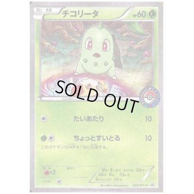 画像1: チコリータ(222/XY-P)