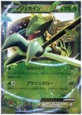 ジュカインEX(006/131)(ホイル)
