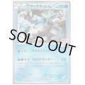 ブラックキュレム(239/XY-P)