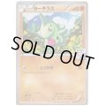 ヨーギラス(241/XY-P)