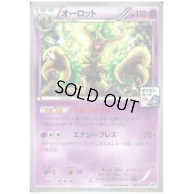 画像1: オーロット(285/XY-P)