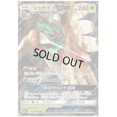 画像1: ジュナイパーGX(003/051 RR)