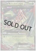 MジュカインEX(007/171)(ホイル)