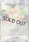 イキリンコex 065/071 RR