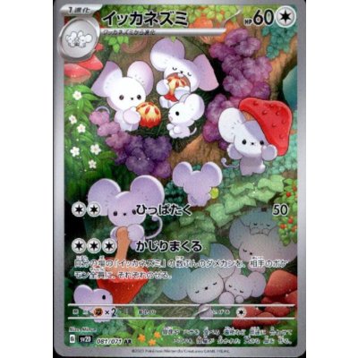 画像1: イッカネズミ 081/071 AR