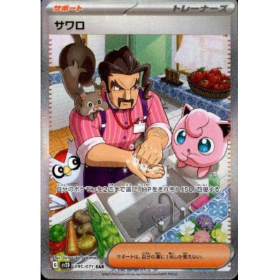 画像1: 【状態B】サワロ 095/071 SAR
