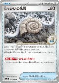 古びたかいの化石(154/165)(ミラー/マスターボール)