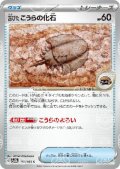 【状態B】古びたこうらの化石(155/165)(ミラー/マスターボール)
