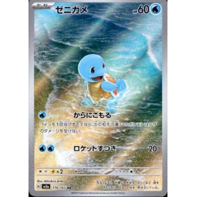 画像1: ゼニガメ(170/165 AR)
