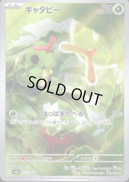 画像1: キャタピー(172/165 AR) (1)