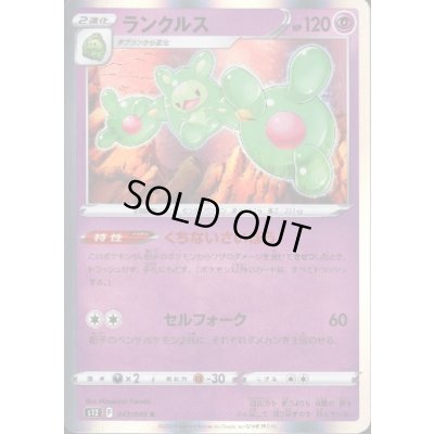 画像1: ランクルス(042/098 R)