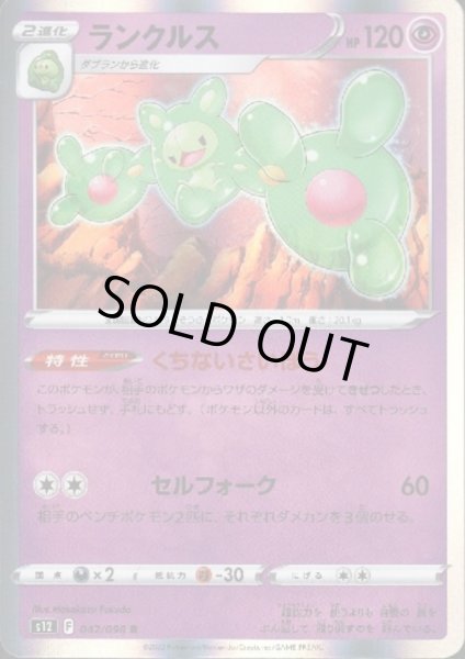 画像1: ランクルス(042/098 R) (1)