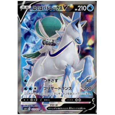 画像1: はくばバドレックスV(072/070 SR)