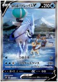 はくばバドレックスV(073/070 SR)