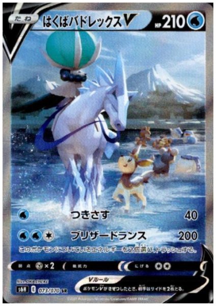 画像1: はくばバドレックスV(073/070 SR) (1)