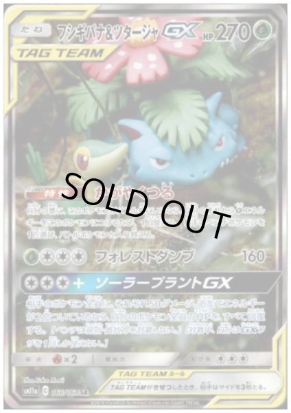 画像1: フシギバナ&ツタージャGX(066/064 SR) ［1号店でも販売中］ (1)