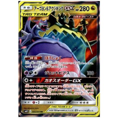 画像1: アーゴヨン&アクジキングGX(066/095 RR)