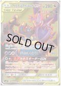 アーゴヨン&アクジキングGX(101/095 SR)