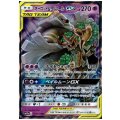 オーロット＆ヨノワールGX(053/173 RR)