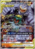 マーシャドー&カイリキーGX(067/173 RR)