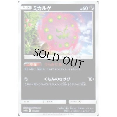 画像1: ミカルゲ(ミラー/白枠)(076/173)