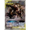 ブラッキー&ダークライGX(182/173 SR)
