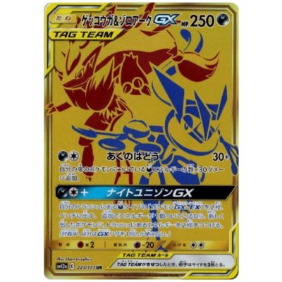 画像1: ゲッコウガ&ゾロアークGX(223/173 UR)