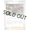 ザクロ(152/172)(ミラー)