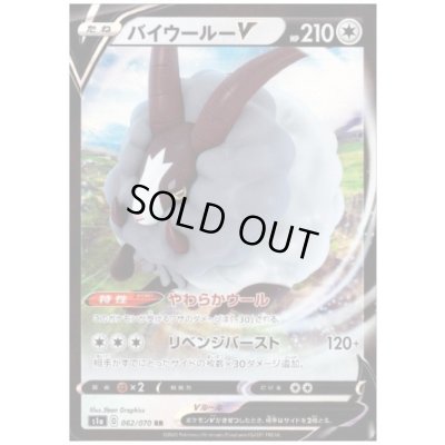 画像1: バイウールーV(062/070 RR)