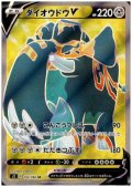 【状態B】ダイオウドウV(104/096 SR)