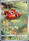 パラス(207/172 AR)