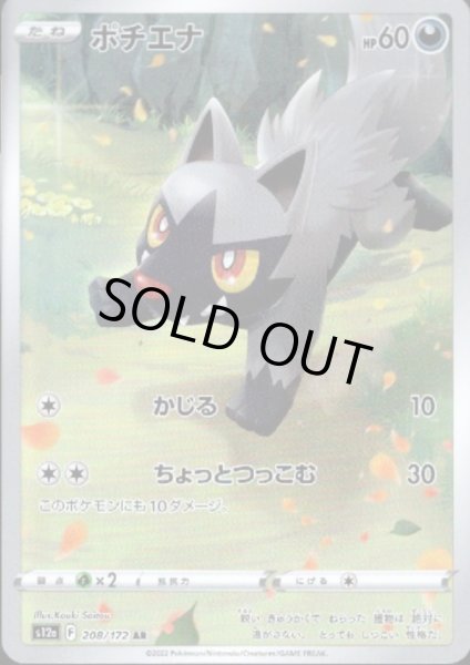 画像1: ポチエナ(208/172 AR) (1)