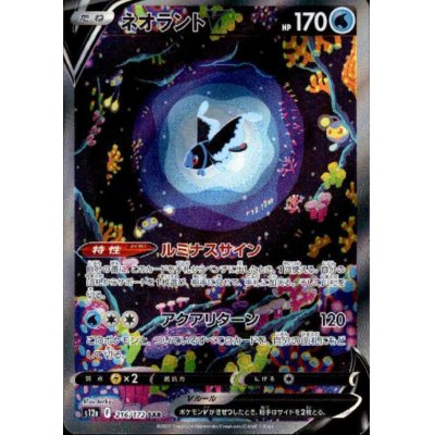画像1: 【状態B】ネオラントV(216/172 SAR)