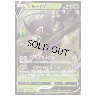 画像1: ザルードV(013/076 RR)