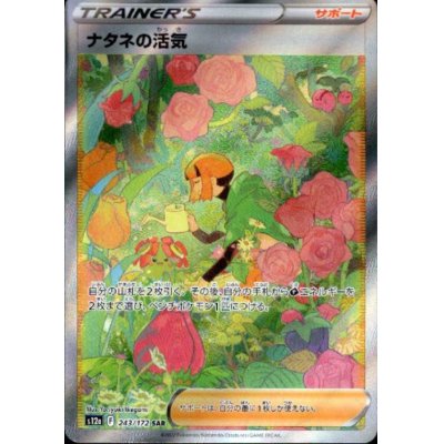 画像1: ナタネの活気(243/172 SAR)