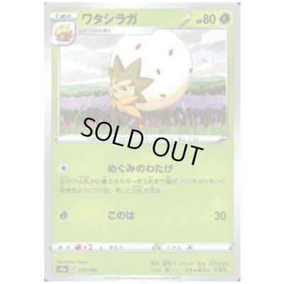 画像1: ワタシラガ(ミラー)(015/190)