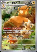 パーモット(085/078 AR)