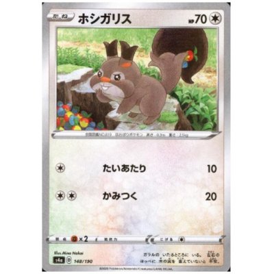 画像1: ホシガリス(ミラー)(148/190)