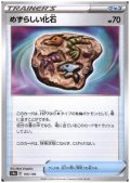 めずらしい化石(ミラー)(165/190)