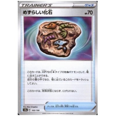 画像1: めずらしい化石(ミラー)(165/190)
