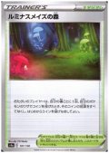 ルミナスメイズの森(ミラー)(181/190)