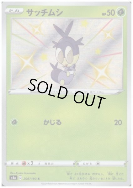 画像1: サッチムシ(206/190 S) (1)