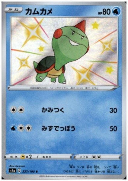 画像1: カムカメ(227/190 S) (1)