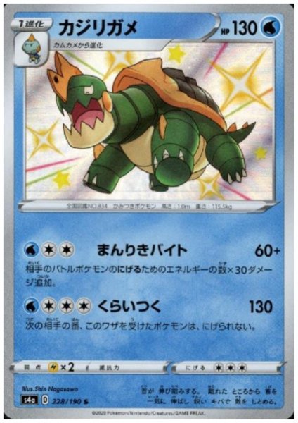 画像1: カジリガメ(228/190 S) (1)