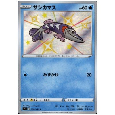 画像1: サシカマス(230/190 S)