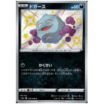 画像1: ドガース(275/190 S)